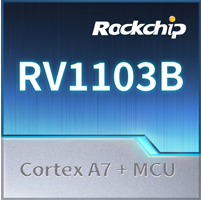 RV1103B